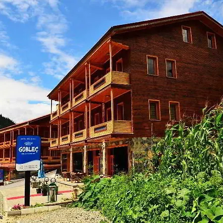 Hotel Goblec & 2*